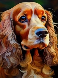 Diamantmaling cocker spaniel 30 × 40 cm