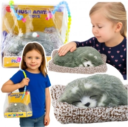 Alvó husky puha szőrmével és ugató hangokkal párnácskán, hordozótáska