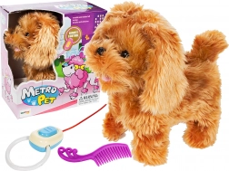 Interaktív kutyus távirányítással