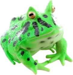 Plastic Frog – Realistic Toy for Kids