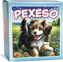 Pexeso Pets in Blue Box