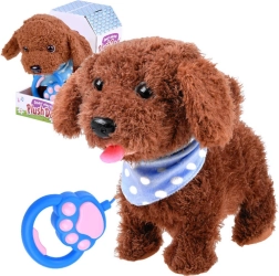 Interactive Plush Puppy on a Leash – Loop