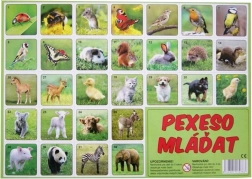 Baby Animals Memory Game