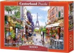 Puzzle 3000 pieces - Blooming Paris