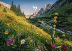 Puzzle Magico Crinale 1000 pezzi