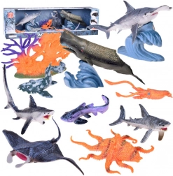 Set of Realistic Sea Animals – Manta, Sperm Whale, Squid, Sharks and More Figures