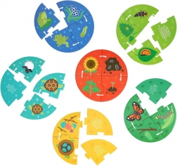 Petit Collage Puzzle Odkritelj Cikla Življenja