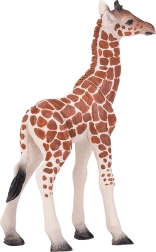Realistic Giraffe Calf Figure