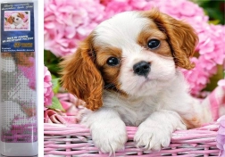 Diamantmaleri hvalp i lyserød kurv 30 × 40 cm