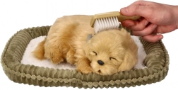 Adopt a Breathing Golden Retriever Puppy
