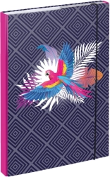 Cartelle per quaderni scolastici A4 Pappagallo