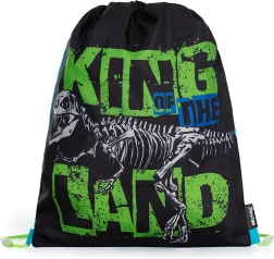 Prémium dinoszauruszos tornazsák