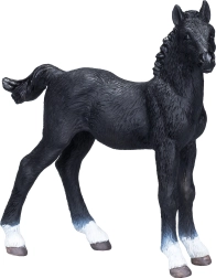 Mojo Hanoverian Black Foal