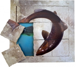 Just Jigsaws Salmon and its Life Cycle - Wooden Layered Puzzle