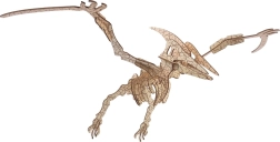 Woodcraft træ 3D-puslespil pterosaurus
