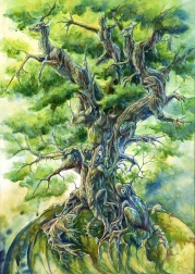 Puzzle Albero della Vita 1000 pezzi ENJOY