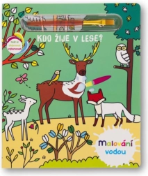 Painting with Water: Who Lives in the Forest?