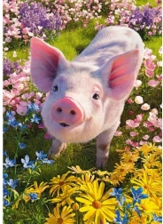 Cherry Pazzi puzzle Máš ma rád? 500 dielikov