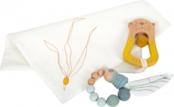 Small foot baby toy set 3 pcs