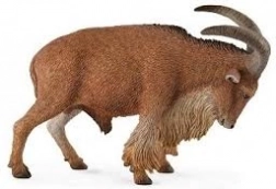 Collecta Barbary sheep – realistic animal model