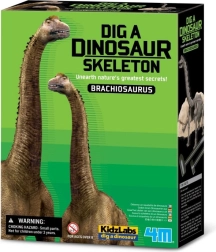 Excavation Kit - Brachiosaurus