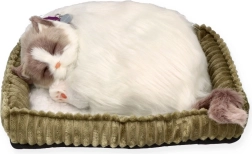 Breathing Ragdoll Kitten Perfect Petzzz