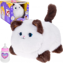 Interactive Kitty Puszek - meows, purrs, and moves its eyes