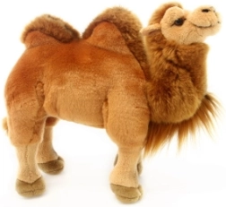 Plush Camel