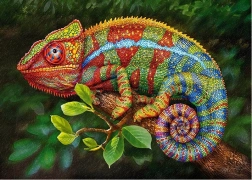 Puzzle Chameleon Cherry Pazzi 1000 pezzi