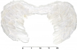 Ali d'angelo per costume