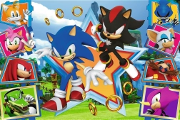 Puzzle 100 pieces - Meet Sonic