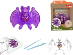 Explore : dissection de chauve-souris – kit éducatif avec gelée