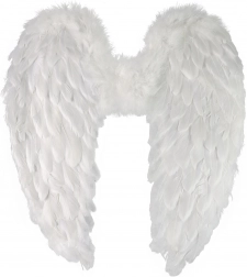 Angel Wings with Feathers