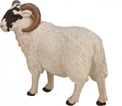 Mojo Hampshire Ram – realistic figurine for children and collectors