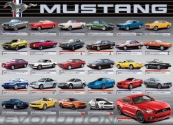 FORD MUSTANG Evolution Puzzle 1000 Pieces