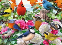 Puzzle Ravensburger Oiseaux de jardin 500 pièces