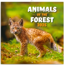 Jegyzetelhető falinaptár Erdei állatkák 2025, 30 × 30 cm