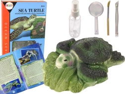 Educational Set Turtle Ammonite Excavation