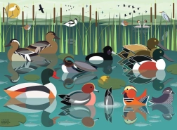 Ravensburger puzzle Volim vodene ptice 500 dijelova