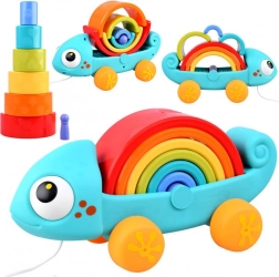 Giocattolo camaleonte arcobaleno montessori 18m+