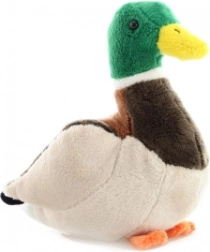 Plush Duck 20 cm