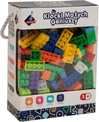 Little Geniuses Bricks Basic 240 pieces