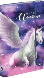 Box na sešity A5 s motivem pegas