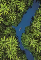 Puzzel met tropisch uitzicht vanuit vogelperspectief