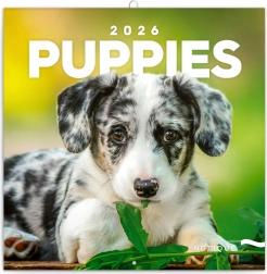 Poznámkový kalendář Štěňata 2026