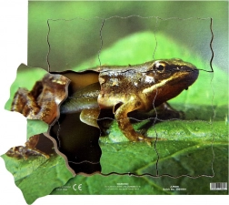 Just Jigsaws Frog and Its Life Cycle - Wooden Layered Puzzle