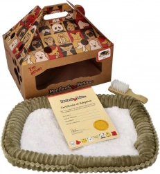 Cucciolo Shiba che respira da adottare