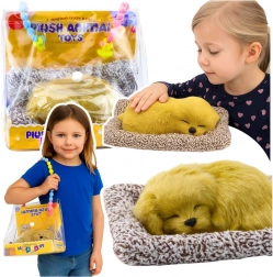 uspavano štene labradora na jastučiću s mekanim krznom u prijenosnoj torbi