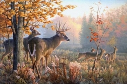Diamond Painting Deer in the Morning Mist 30x40 cm