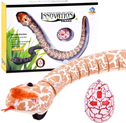 IR Remote-Controlled Snake for Kids – Orange